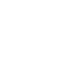 PeerPesa logo